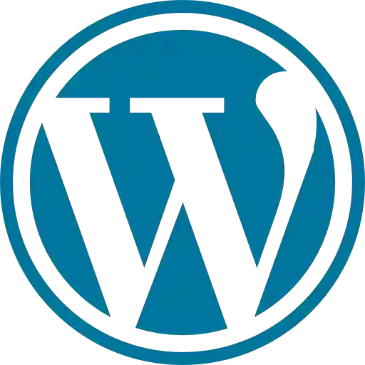 Wordpress Development in Delhi